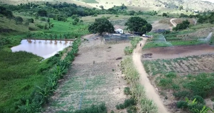 Hortões municipais em parceria com o Ifes produziram 3.293 kg e 202 caixas de hortícolas em agosto