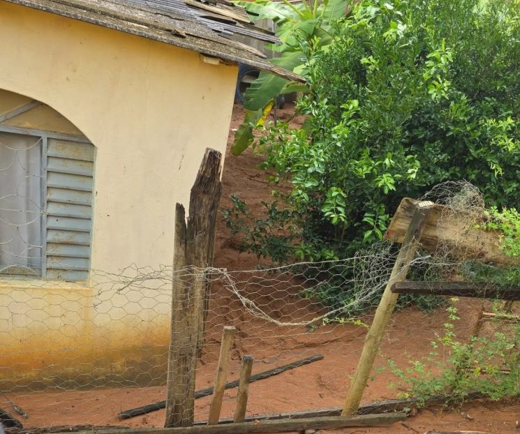 Prefeitura atua na remoção de lama em residência atingida pelas chuvas no distrito de Santo Antônio