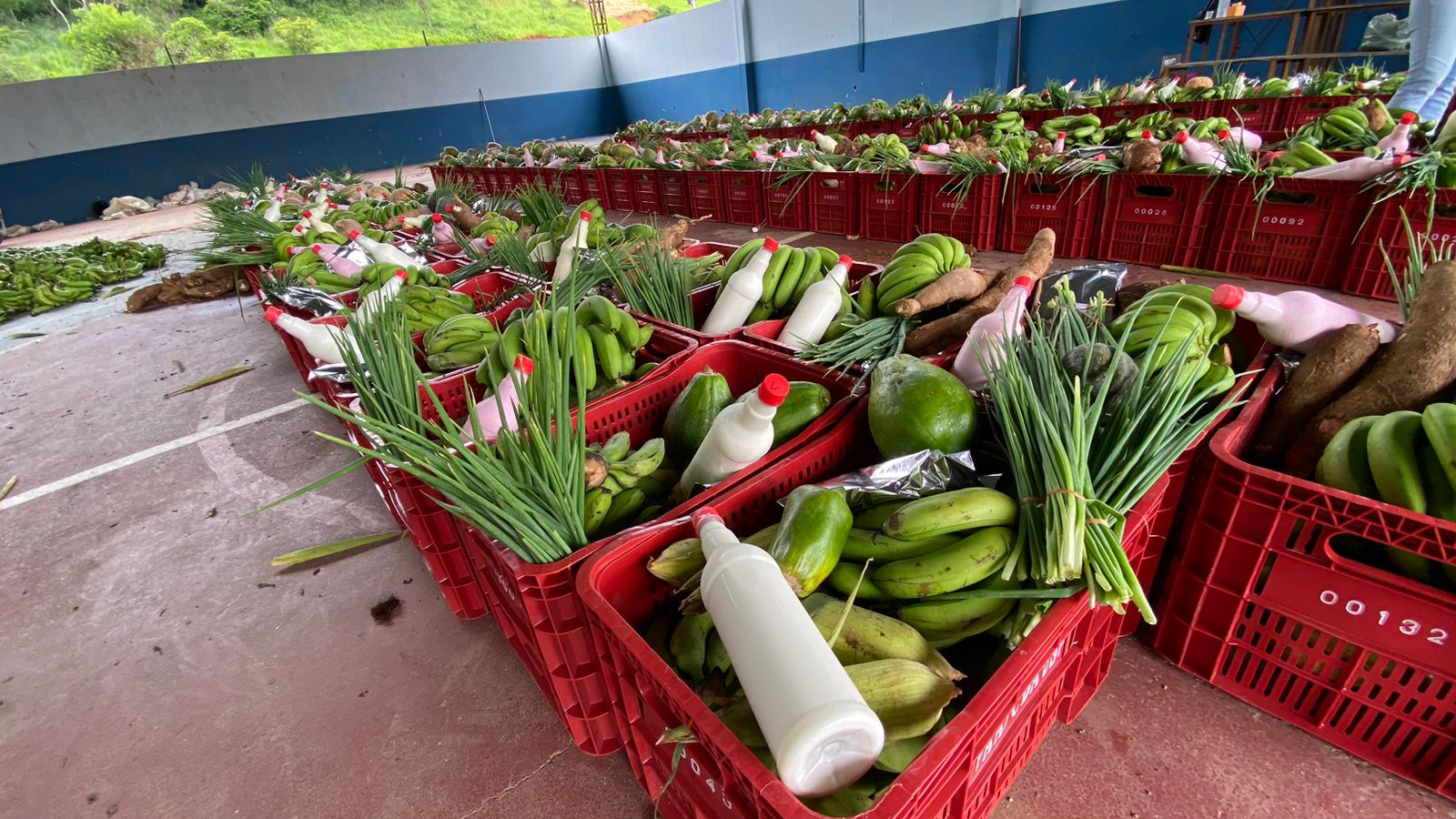 Imagem da notícia: Prefeitura entrega 200 cestas verdes para famílias beneficiadas pelo Programa de Aquisição de Alimentos