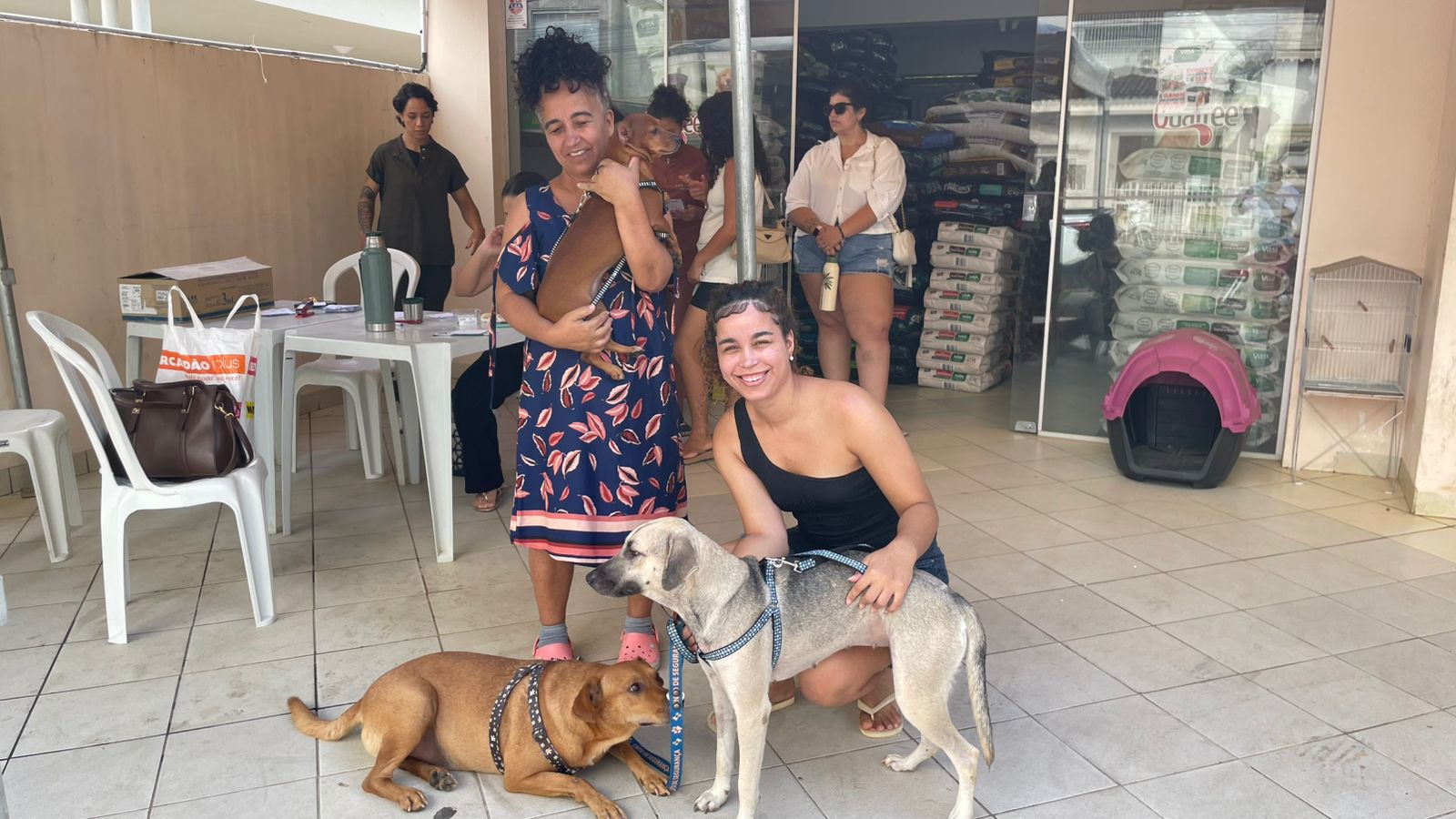 Imagem da notícia: Prefeitura realiza Dia D de vacinação polivalente para cães e gatos