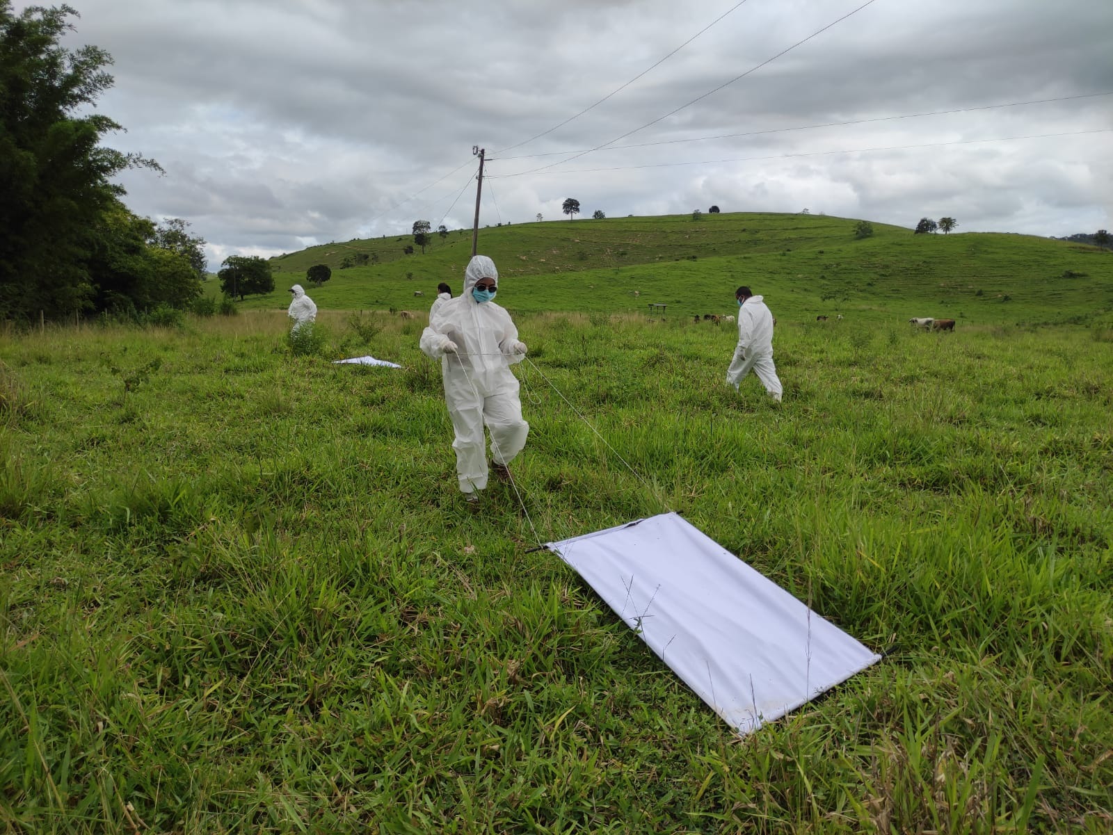 Imagem da notícia: Vigilância Epidemiológica divulga balanço de ações de janeiro e fevereiro